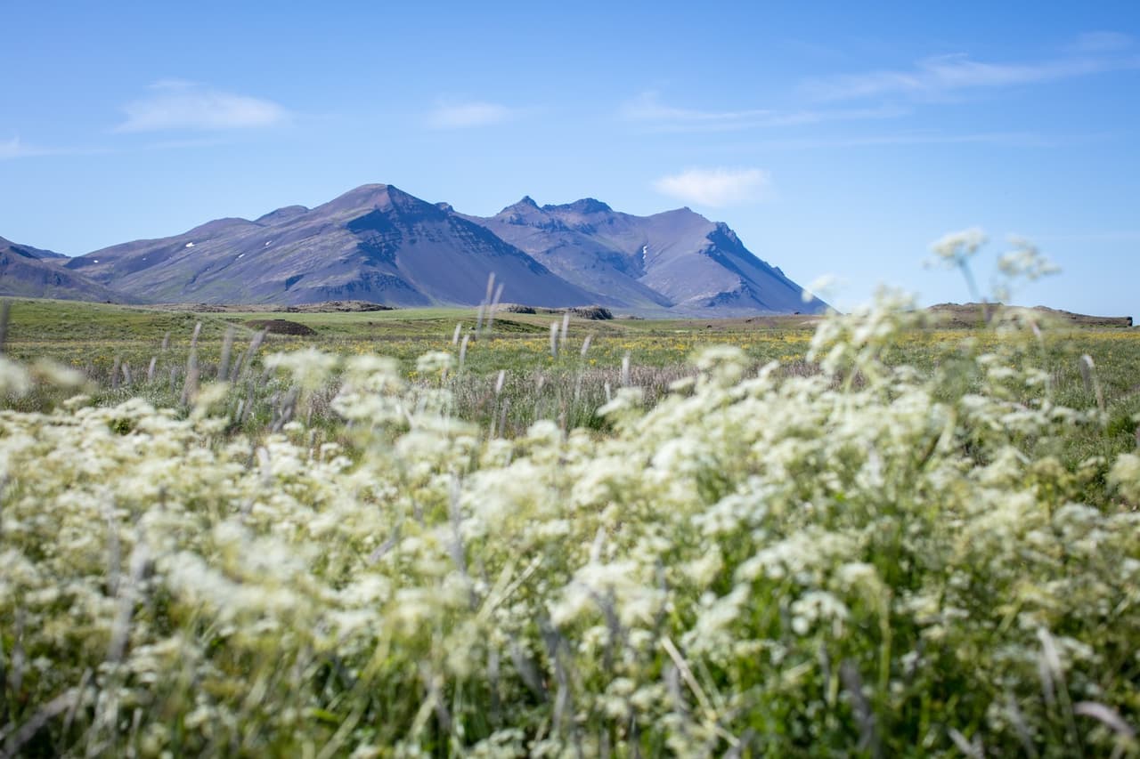 2. fundur sveitarstjórnar sameinaðs sveitarfélags Borgarbyggðar og Skorradalshrepps