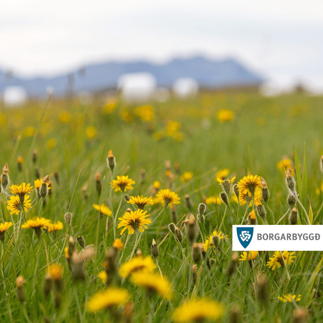 Sumarlokun Ráðhúss Borgarbyggðar 2025